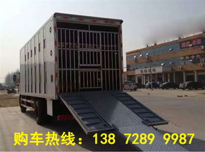 【哪里有7米6運(yùn)拉豬的專(zhuān)用車(chē)門(mén)市價(jià)】-