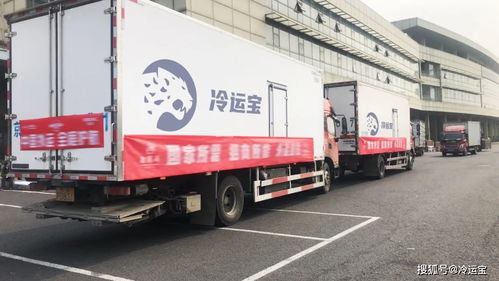 若人民有召喚,這家平臺(tái)使命必達(dá)